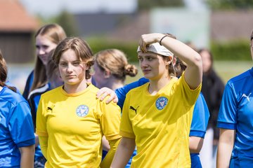 Bild 46 - wBJ SH-Pokalfinale  Holstein-Kiel - SV Viktoria : Ergebnis: 1:0